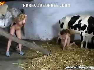 Two country girls having fun with a hung stallion