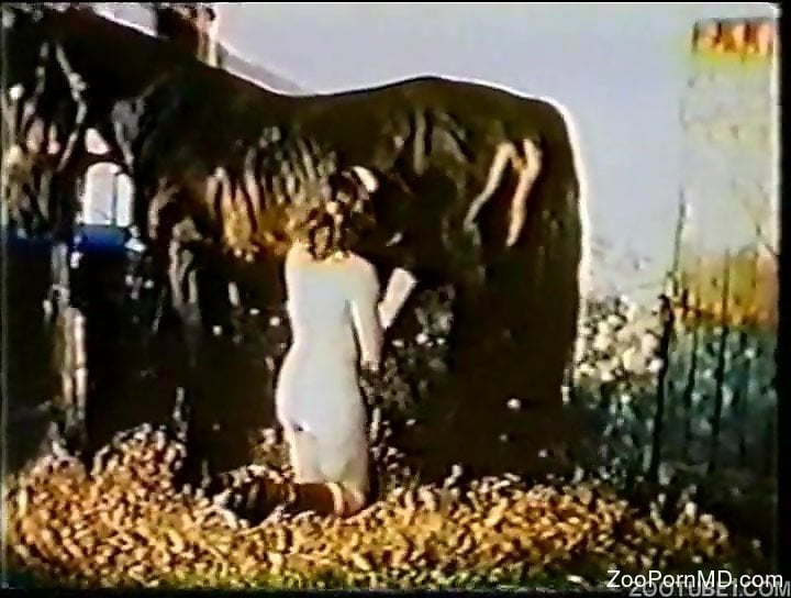 Retro bestiality video featuring dogs and horses->
