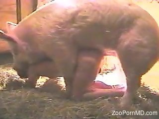 Pig with a weird dick fucking a thick mature beauty