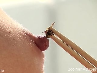 Solo babe uses bees to spice things up in her solo