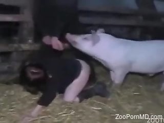 Sexy woman feels proper pig cock into her fresh holes