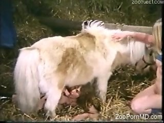 Horny compilation showing couples trying zoo sex