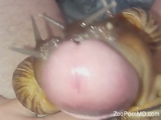Hot male jerks off on cam with snails attached to his dick