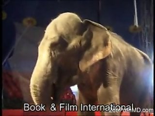 Nude blonde loves the elephant for a few zoo XXX moments