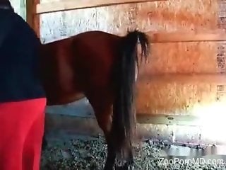 Man fist fucks horse and fulfills his hidden sexual needs.