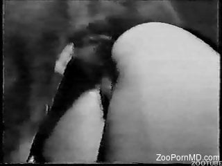 Dog ass fucks gorgeous woman in black and white video
