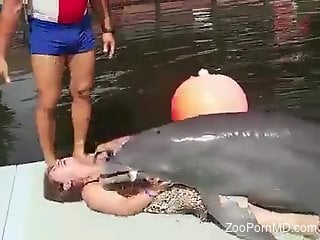 Mature feels dolphins dick over her fat pussy and ass