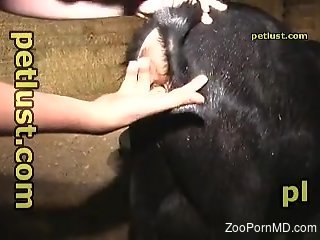 Hardcore fuck with a submissive farm animal