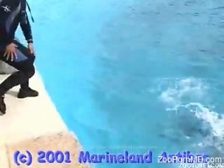 Dude teases a dolphin until it shows its hot cock