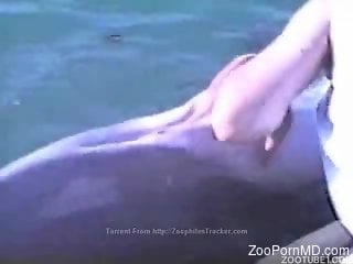 Dolphin hole getting fisted in a zoo porno movie