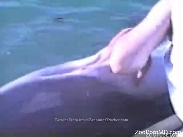 Dolphin Zoo Porn - Dolphin hole getting fisted in a zoo porno movie