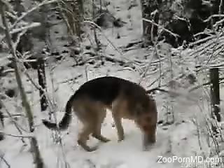 Wild blowjob in the snowy woods from a horny dude
