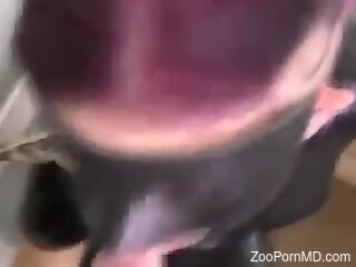 Masked cam whore fitted with dog dick in both holes
