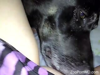Dog pleases big ass MILF with soft pussy licking