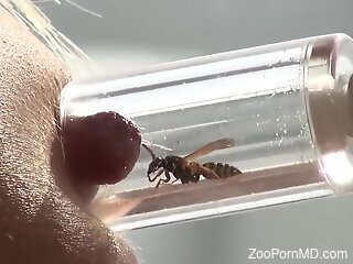 Bee fetish babe is going to cum after single sting