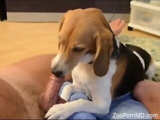 Hot guy enjoys a nice deepthroat from his doggo