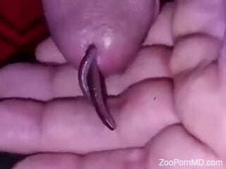 Horny man inserts worms in his dick for better stimulation