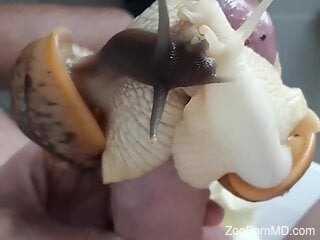 Man puts snails on his dick to masturbate in greater scenes