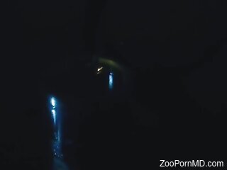 Horny dude sticks his dick in a jar packed with fireflies