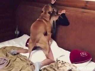 Fine blonde filmed in her room when the dog treats her with cock