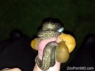 Horny man feels aroused with snails crawling over his cock