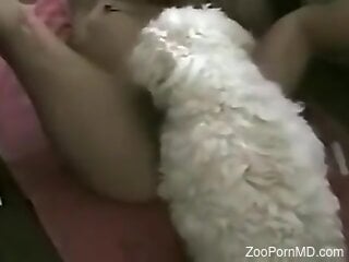 Naked woman with hairy cunt lets the furry dog lick her big time