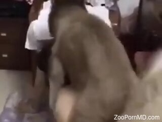 Hot homemade zoo porn featuring grey doggie
