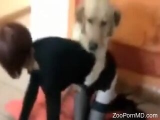 Masked brunette engages in homemade zoo sex