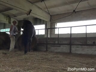 Filthy brunette is giving a hot bestiality blowjob