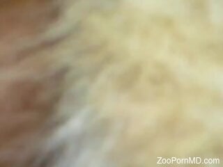 Hairy pussy is enduring rough zoo sex at home