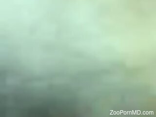 Insolent man fulfills his dirty desires through dog sex