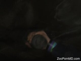 Amateur woman grabs the horse's cock for unique oral sensations