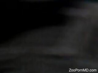 Sexy ass woman loudly plays with the dog in excellent XXX