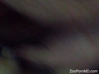 Zoophile loves having rough zoo sex at home