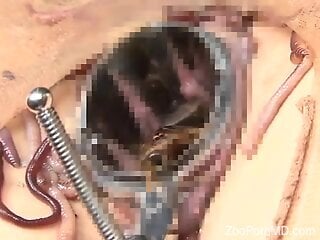 Nude woman feels worms deep in her pussy and ass