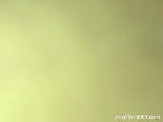 Zoophile's cock is drilling deep inside the dog