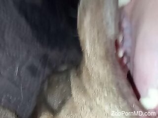 Zoophile loves humping his dog from behind
