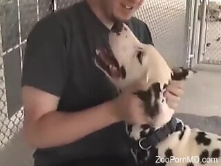Black-spotted dog is taking part in bestiality action