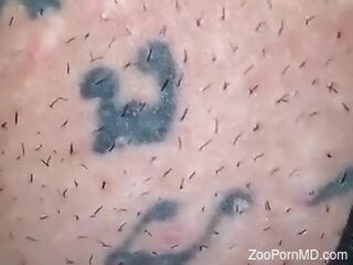 Tattooed whore is enjoying oral bestiality
