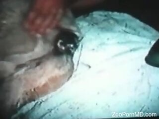 Zoophile unloads his nuts after fucking his dog