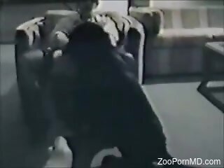 Slutty housewife is cumming during rough zoo sex