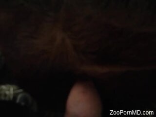 Zoophile loves deep penetrations during zoo sex