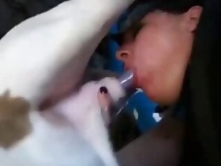 Free bestiality and zoophilia porn