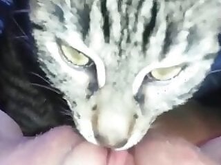 Animal porn and zoo sex