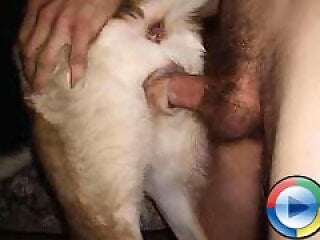 Free zoo porn tube