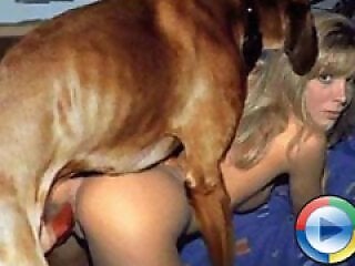 zooporntube.com