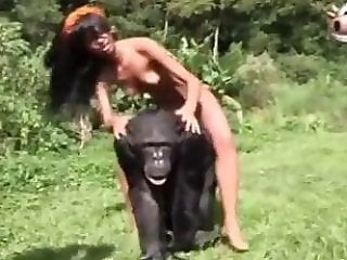 Horse Porn Tube