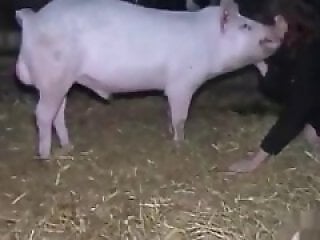 ZOO Porn and bestiality tube
