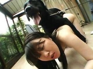 Animal porn videos and ZOO PORN