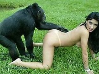 Zoo porn and zoo sex video